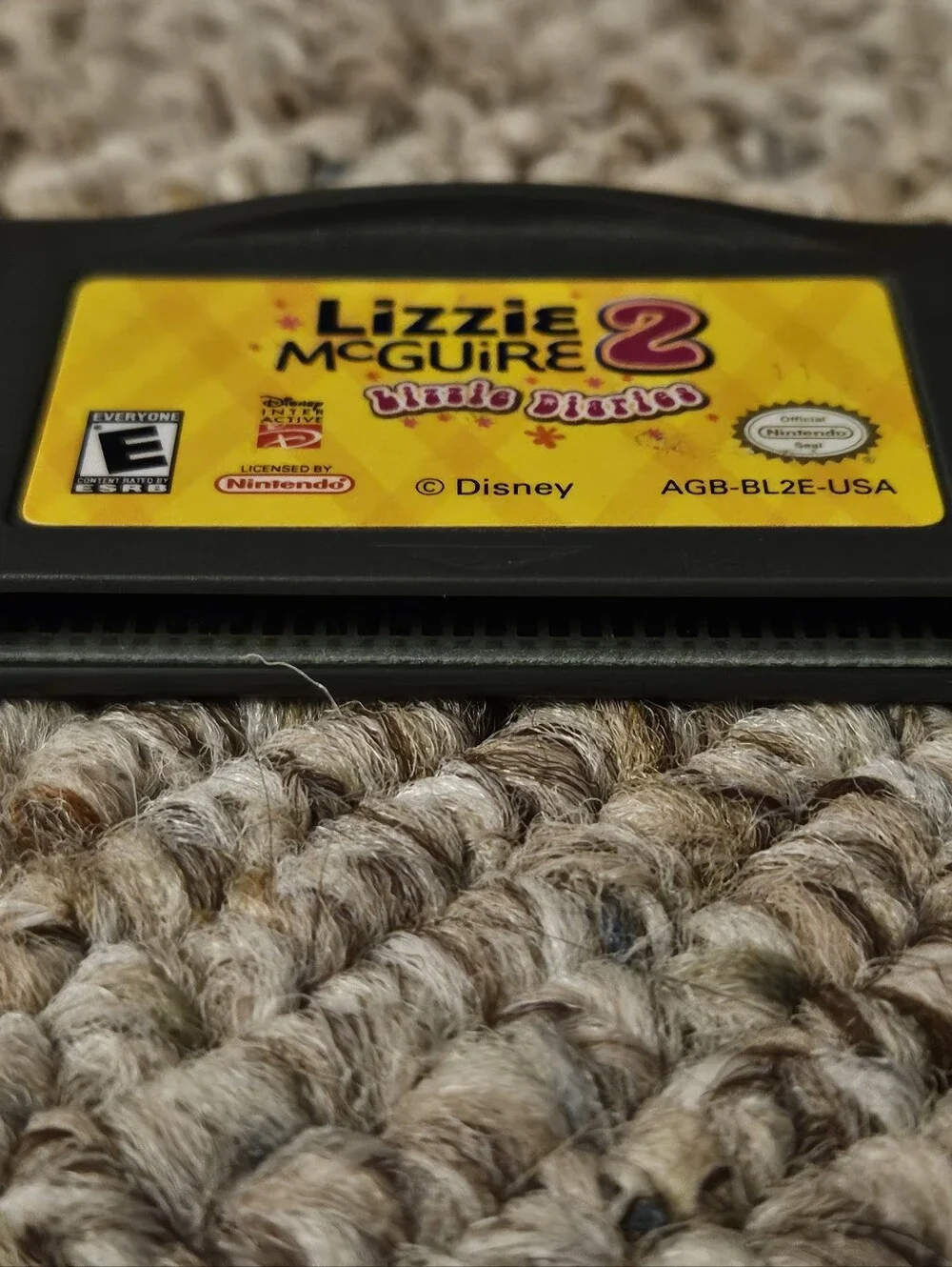 Lizzie McGuire 2 Lizzie Diaries Gameboy Advance